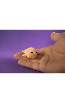 Minik Çirkin Balık 6 Cm Doğal Malzeme Oyuncak Bej Renk Balık Minik Çirkin Balık 6 Cm Doğal Malzeme Oyuncak Bej Renk Balık