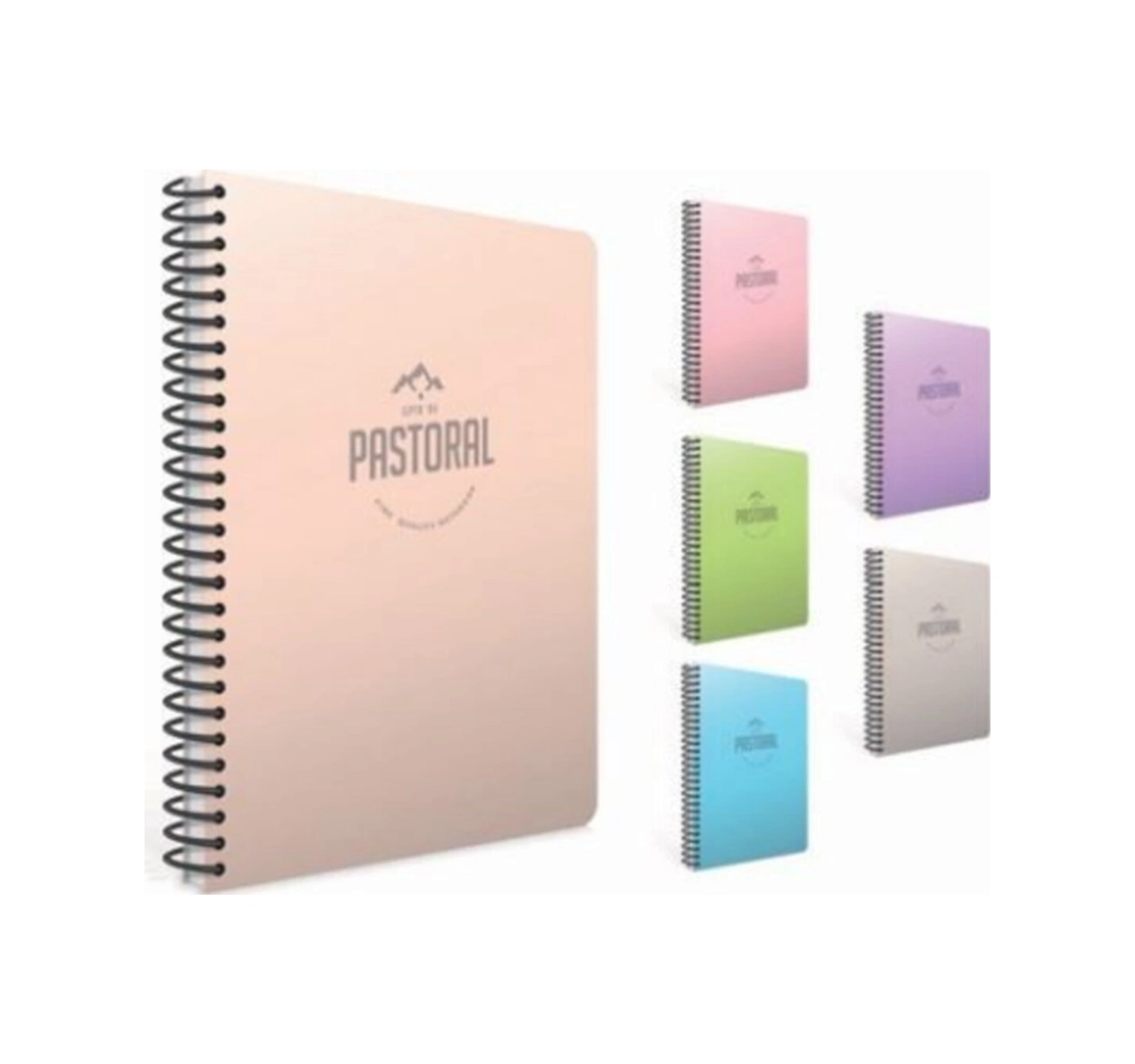 Pastoral Defter 17x24 96 Yaprak Kareli 4'lü