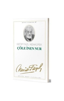 Çöle İnen Nur Çöle İnen Nur