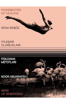 İyileşme Olasılıkları - Fısıldama Metotları - Noor Abuarafeh - Yapı Kredi Yayınları İyileşme Olasılıkları - Fısıldama Metotları - Noor Abuarafeh - Yapı Kredi Yayınları