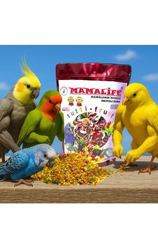 Meyveli Kuş Maması Nemli 1 Kg Mamalife Meyveli Kuş Maması Nemli 1 Kg Mamalife