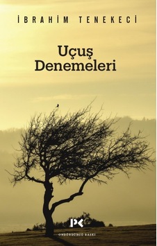 Uçuş Denemeleri Ibrahim Tenekeci Profil Kitap Uçuş Denemeleri Ibrahim Tenekeci Profil Kitap