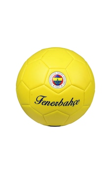 Fenerbahçe Futbol Topu Premıum No:5  482658