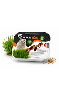 Wondercat Topraklı Koruyucu File Hediyeli Kedi Çimi