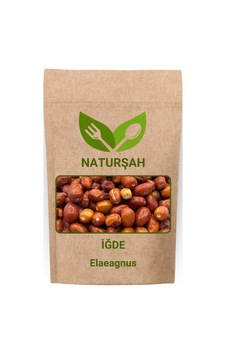 Naturşah İğde Meyvesi 1 KG - Elaeagnus Naturşah İğde Meyvesi 1 KG - Elaeagnus