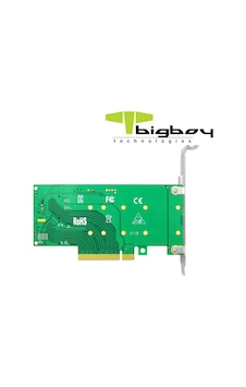 Bigboy BTC-M2G4X2 PCIe 4.0 x4 PCIe 4.0 x8 2xm.2 NVMe Dönüştürücü Bigboy BTC-M2G4X2 PCIe 4.0 x4 PCIe 4.0 x8 2xm.2 NVMe Dönüştürücü
