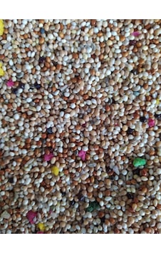 Meyveli Muhabbet Karışık Kuş Yemi 5 KG