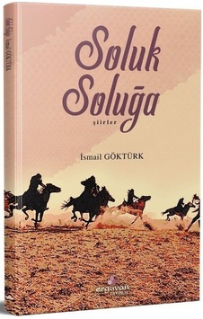 Soluk Soluğa / İsmail Göktürk Soluk Soluğa / İsmail Göktürk