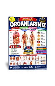 Organlarımız İnsan Vücudunu Keşfetmenin En Kolay Yolu Organlarımız İnsan Vücudunu Keşfetmenin En Kolay Yolu
