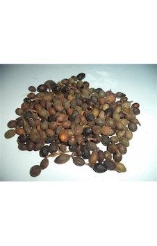 Defne Tohumu 1  Kg