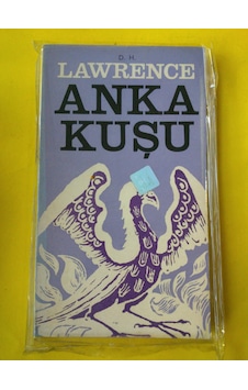 Anka Kuşu Lawrence Anka Kuşu Lawrence