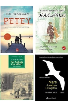 Petey+hachiko+martı+pal Sokağı Çocukları 4 Kitap Set Petey+hachiko+martı+pal Sokağı Çocukları 4 Kitap Set