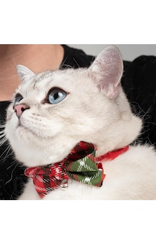 Patipatron Ayarlanabilir Yeni Yıl Papyonlu Kedi Tasması Çınçınlı Diğer