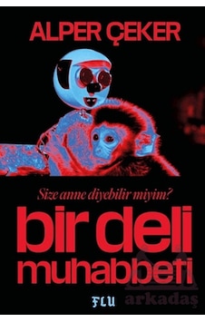 Bir Deli Muhabbeti Flu Kitap Bir Deli Muhabbeti Flu Kitap