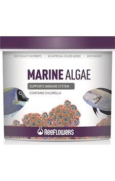 Reeflowers Marine Algae Tuzlu Su Balık Yemi 1 L Reeflowers Marine Algae Tuzlu Su Balık Yemi 1 L