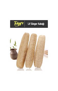 Lif Sünger Kabak Tohumu / 20+ Adet Tohum