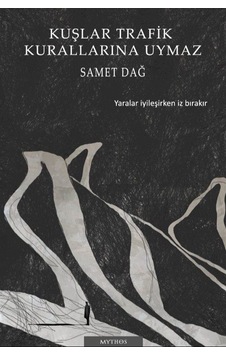 Kuşlar Trafik Kurallarına Uymaz / Samet Dağ Kuşlar Trafik Kurallarına Uymaz / Samet Dağ