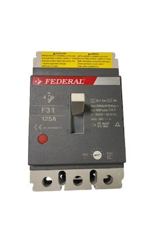 Federal F31 125A Ayar Sahalı Kompakt Şalter Federal F31 125A Ayar Sahalı Kompakt Şalter