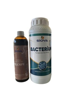 Siova Bacterium 1 Lt. Diğer