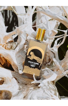 Erkek Parfüm Africa Aromatik Erkek Parfüm Africa Aromatik