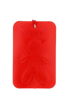 Falken Cesare Scented Card Oto Kokusu Falken Cesare Scented Card Oto Kokusu