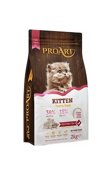 Proart Kitten Tavuklu Yavru Kedi Maması 2 KG Proart Kitten Tavuklu Yavru Kedi Maması 2 KG