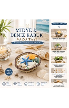 Küçük - Kare - Ahşap Sepetli Renkli Mix Midye - Deniz Kabuk Vazo Taşı Bx40 Çok Renkli
