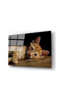 Miyrem Glasses Collection -a1^ Kedi 4 Cam Tablo Miyrem Glasses Collection -a1^ Kedi 4 Cam Tablo