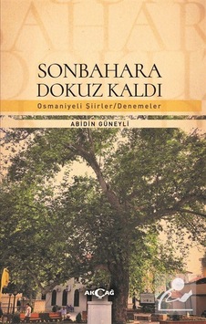 Sonbahara Dokuz Kaldı / Abidin Güneyli
