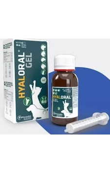 Hyaloral Oral Jel 50 Ml - Kedi Ve Küçük Irk Köpekler İçin Hyaluronik Asitli Eklem Desteği Hyaloral Oral Jel 50 Ml - Kedi Ve Küçük Irk Köpekler İçin Hyaluronik Asitli Eklem Desteği