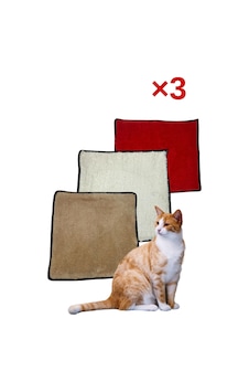 3 Adet Yumuşak Dokulu Peluş Kedi Halısı 40x40 Cm Kulübe İçi Pofuduk Minder