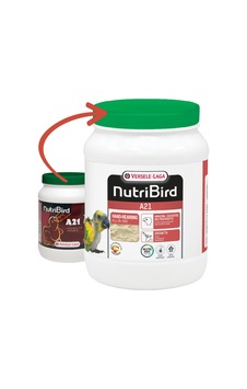 Versele Laga Nutrıbırd A21 Elle Yetiştirme Maması 800g
