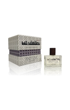 Zayna Anıtlar Silver Erkek Parfüm EDP 50 ML