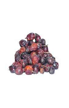 Lokman Kuşburnu 100 G Lokman Kuşburnu 100 G