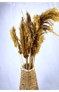 Şoklanmış Renkli Pampas Demeti 10'lu Set Sarı Şoklanmış Renkli Pampas Demeti 10'lu Set Sarı