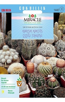 Miracle Karışık Kaktüs Bitkileri Çiçeği Tohumu 100 Tohum Miracle Karışık Kaktüs Bitkileri Çiçeği Tohumu 100 Tohum