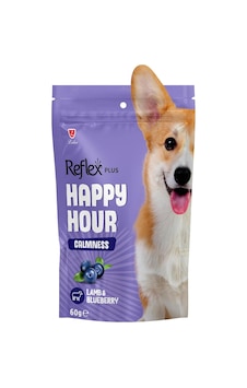 Ayrex Hour Ayrex Hour