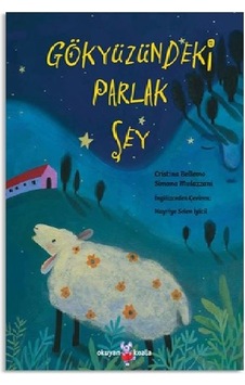 Gökyüzündeki  Parlak Şey - Cristina Bellemo - Okuyan Koala