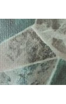 Pool Liner Pool Liner