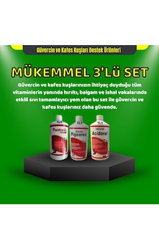 Royal Güvercin Ve Kafes Kuşları İçin 1 Lt Mükemmel Üçlü Set Acidoral+pigeorex+pantonic Royal Güvercin Ve Kafes Kuşları İçin 1 Lt Mükemmel Üçlü Set Acidoral+pigeorex+pantonic