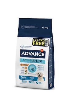 Advance Adult Maxi Tavuklu 14 Kg Büyük Irk Yetişkin Köpek Maması