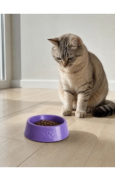 Pati Desen Model Beton Kedi Köpek Mama Ve Su Kabı 13 Cm Çap X 4 Cm - Mor Pati Desen Model Beton Kedi Köpek Mama Ve Su Kabı 13 Cm Çap X 4 Cm - Mor