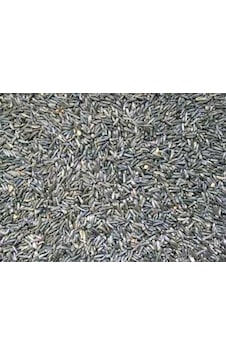 2kg Ni̇jer Tohumu Yemli̇k 2kg Ni̇jer Tohumu Yemli̇k