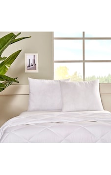 Taç Comfort Yastık Taç Comfort Yastık