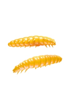 Libra Lures Larva Cheese Suni Yem Dark Yellow 35mm Libra Lures Larva Cheese Suni Yem Dark Yellow 35mm