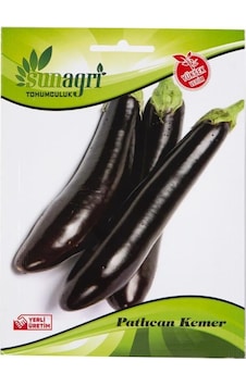 Sunagri Patlıcan Kemer Tohumu Sunagri Patlıcan Kemer Tohumu