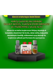 Royal Yarış Güvercinlerinde Mini Rahat Nefes Yüksek Performans Ve Mükemmel Uçuş Seti Royal Yarış Güvercinlerinde Mini Rahat Nefes Yüksek Performans Ve Mükemmel Uçuş Seti