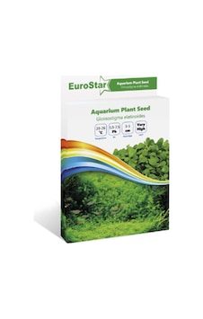 Eurostar  Bitki Tohum  Glossostigma Elatinoides