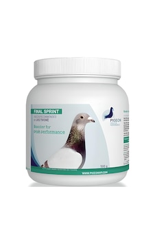 PIGEON Health Performance, FINAL FOND 500 Gr. (Posta Maraton Yarı PIGEON Health Performance, FINAL FOND 500 Gr. (Posta Maraton Yarı