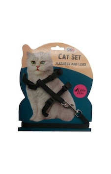 Ans Kedi Göğüs Bel Tasması Siyah Ans Kedi Göğüs Bel Tasması Siyah